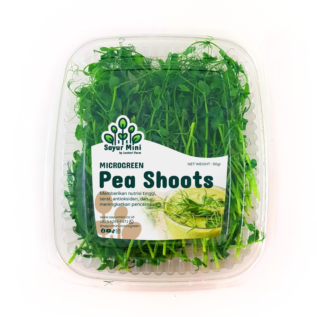 

SAYUR MINI Microgreen Pea Shoots 50gr - Salad Microgreen - Fresh Cut - Kacang Polong