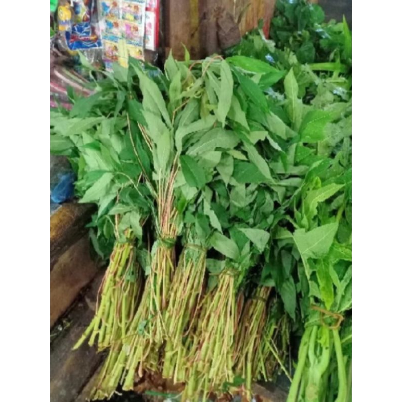 

daun singkong seger per ikat
