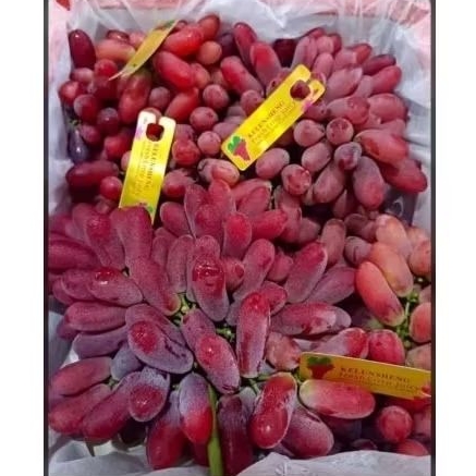 

Anggur Crimson manis tanpa biji 500gr