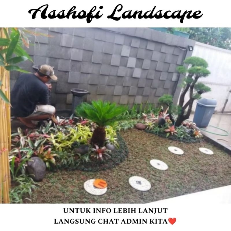 PEMBUATAN TEBING DEKORASI TAMAN MINIMALIS KOLAM IKAN HIAS BUNGA HIAS PASANG RUMPUT TAMAN JEPANG TANA