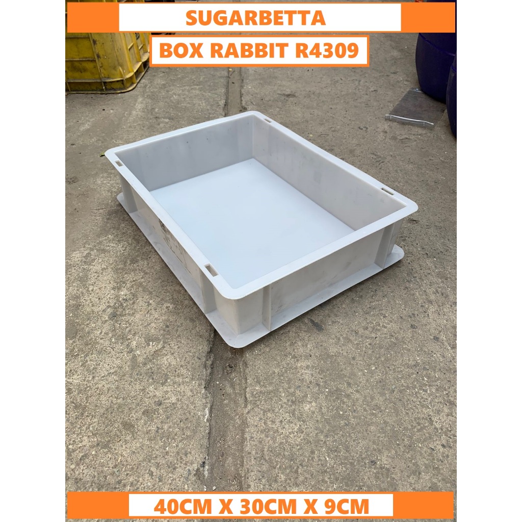 WARNA RANDOM Box Food Grade Box R4309 Donat Nampan Box Plastik serbaguna
