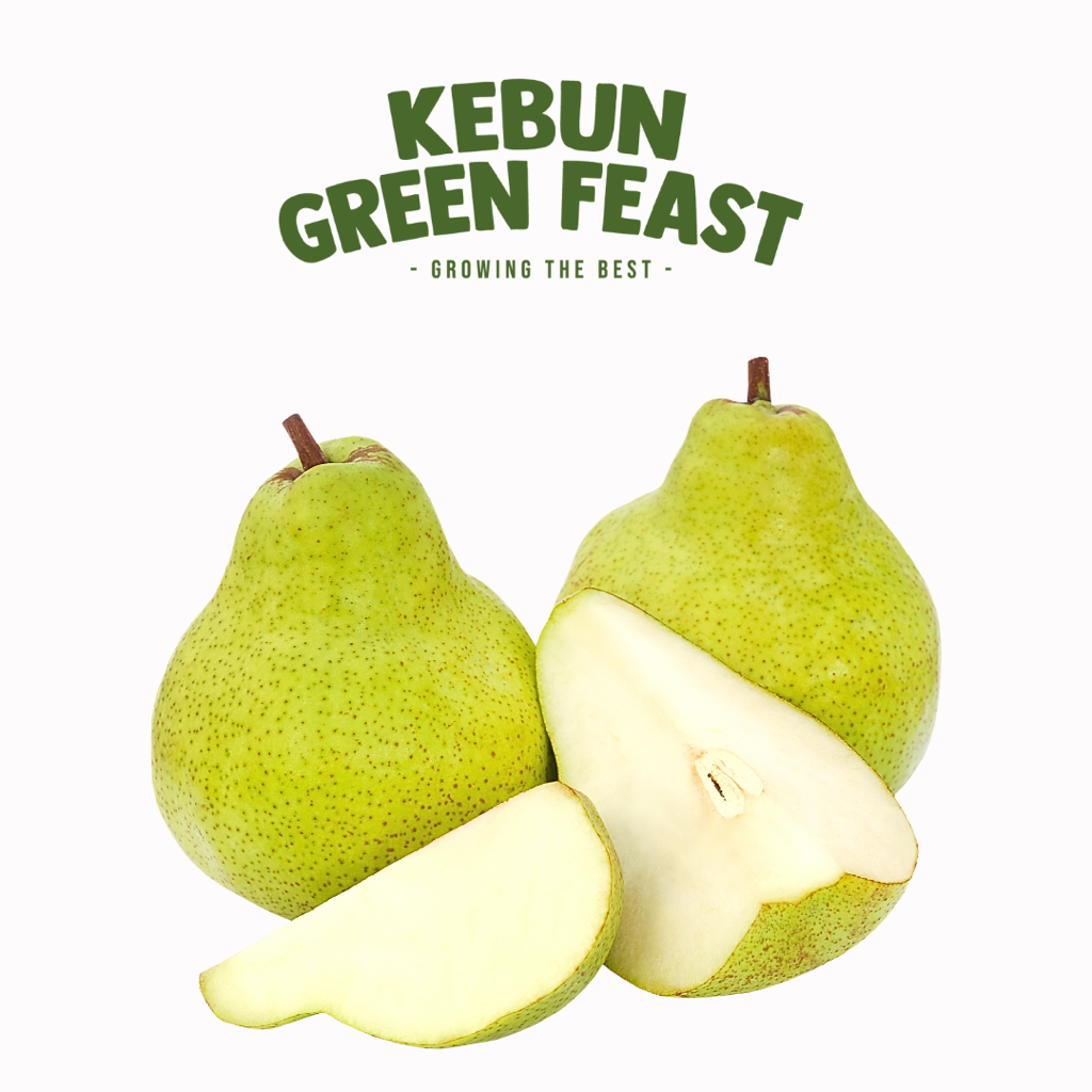 

Pear Xiang Lie - Buah Import Segar