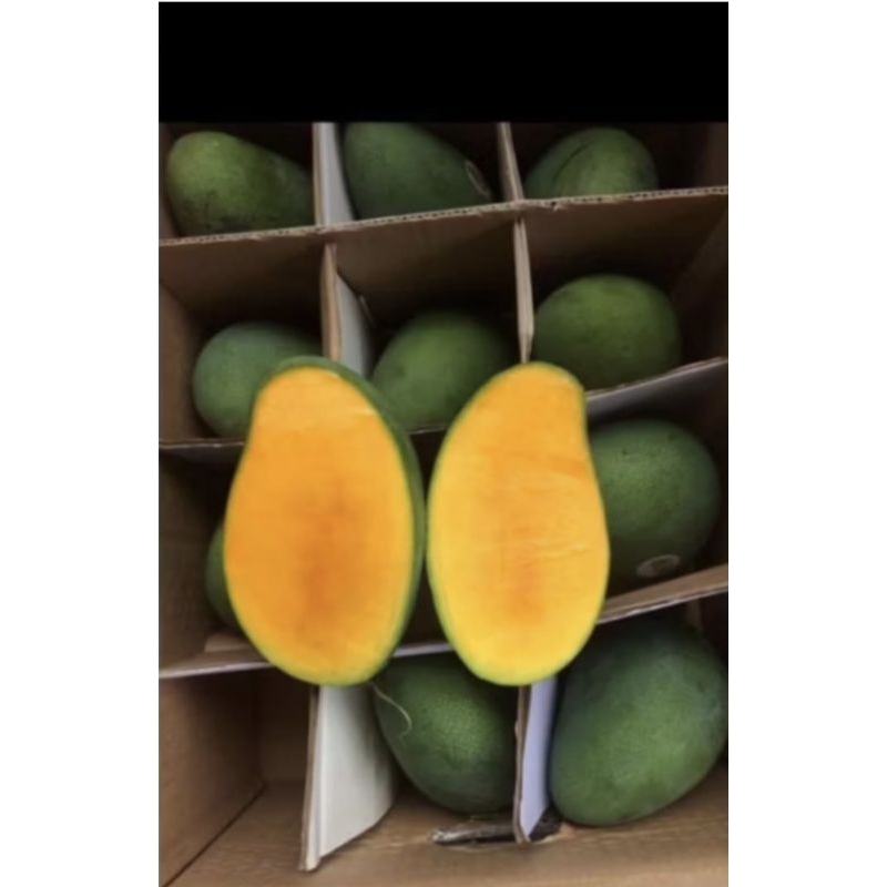 

mangga super maniss 5kg