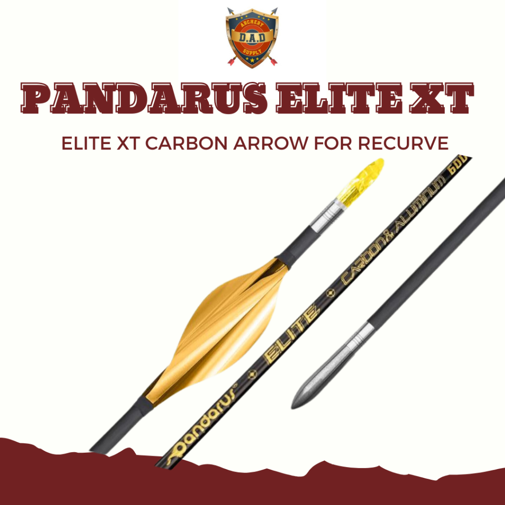PANDARUS ELITE XT CARBON ARROW (DZ) - tanpa vanes / ANAK PANAH PANDARUS + PACKING PIPA