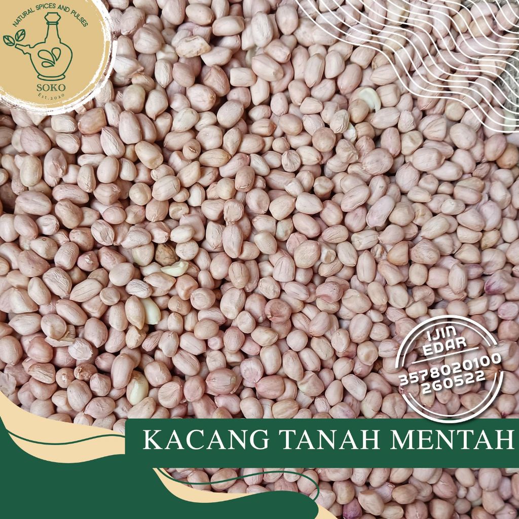 

Kacang Tanah Mentah Import 80/90 /Kacang Tanah Ose [Vacuum]/Kualitas import/Kering