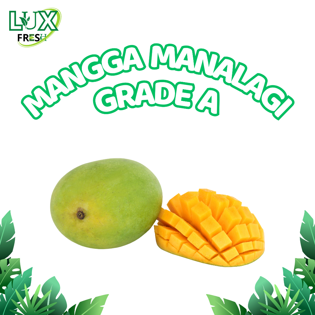 

BUAH MANGGA MANALAGI GRADE A 500 GRAM DAN 1 KG SEGAR DAN BERKUALITAS