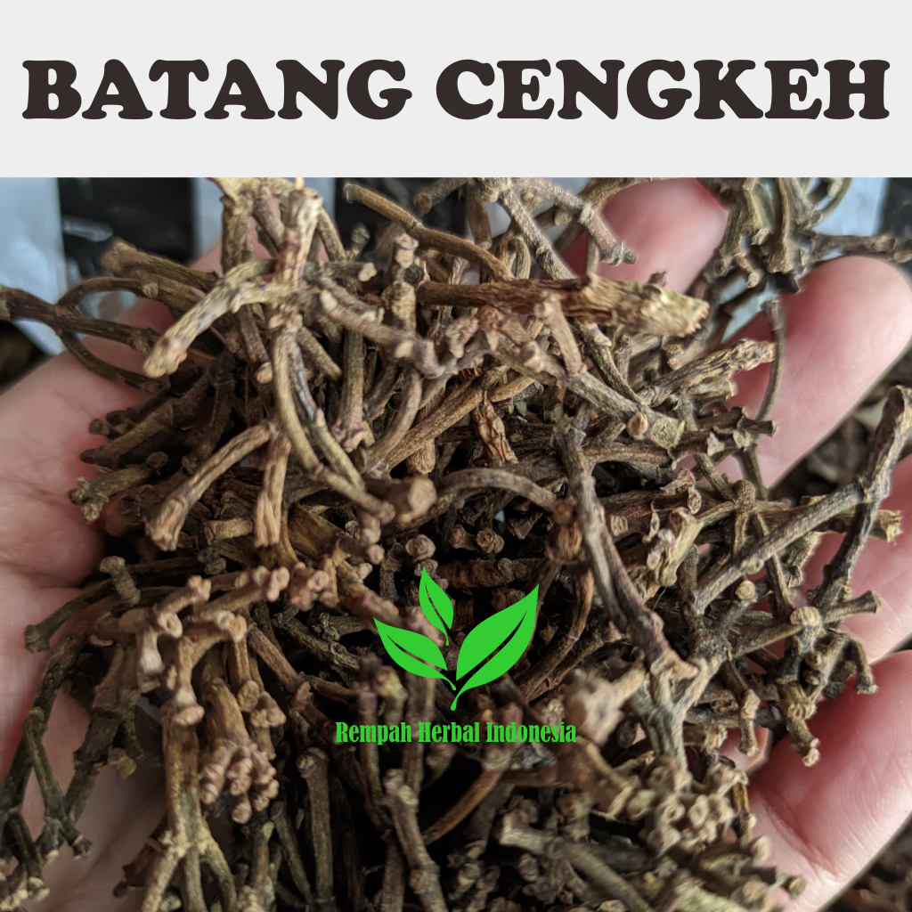 

1 Kg Gagang Batang Cengkeh Kering Organik Kualitas Premium Cocok Untuk jamu maupun minuman Herbal