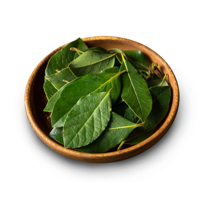 

Daun Salam
