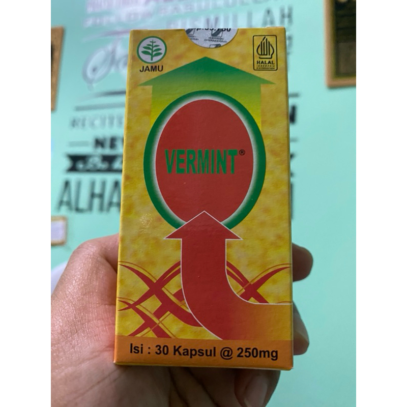 VERMINT OBAT TIPUS TIPES KAPSUL CACING 30 Kapsul