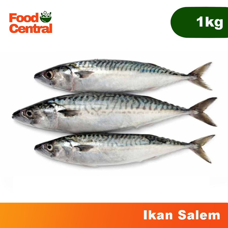 

[INSTAN] Ikan Salem 1kg