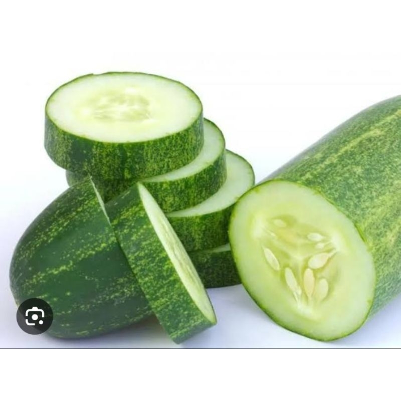 

Timun Mentimun Sayur