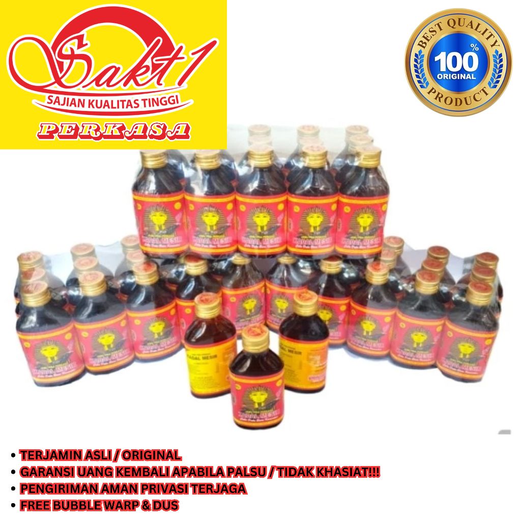 

jamu kadal mesir besar asli