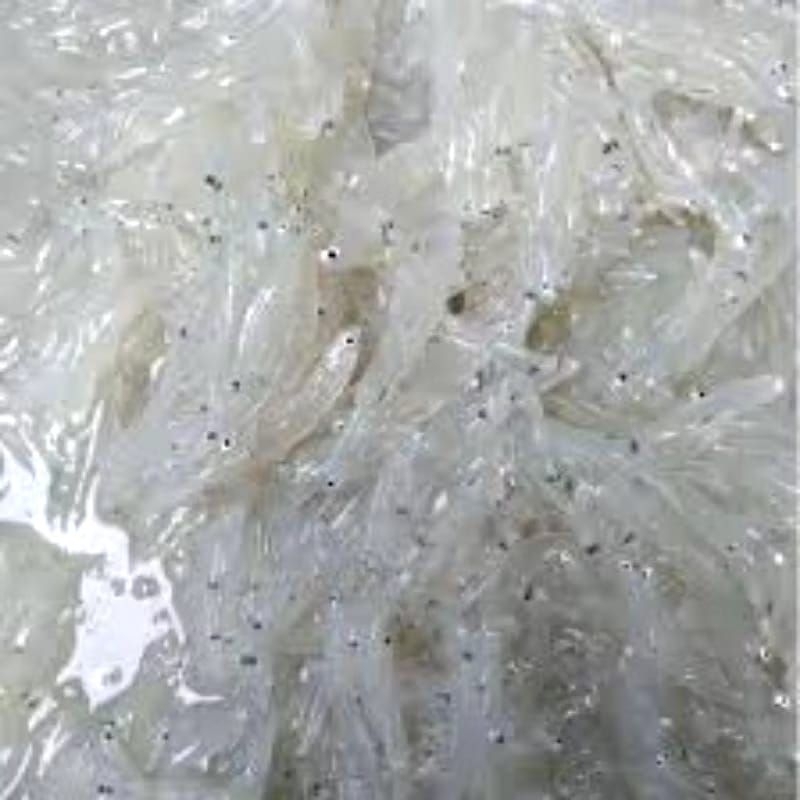 

Teri Nasi Basah Segar 250gram | Mp Asi