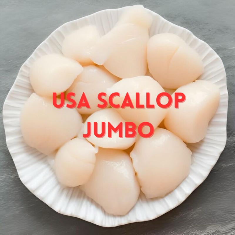 

KERANG USA SCALLOP IMPORT SIZE 10/20 PER KG (PACKING @250GR) MAKANAN BEKU [FROZEN FOOD SEAFOOD]