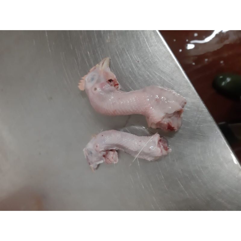 

Kepala Ayam Fresh/Frozen