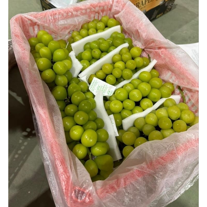 

ANGGUR SHINE MUSCAT HIJAU