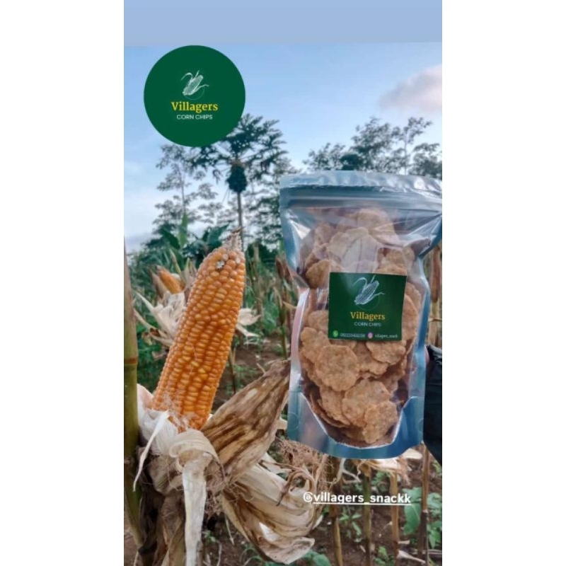 

CORN CHIPS