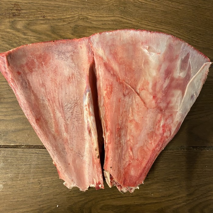 

Tulang Centong Sapi / Tulang Kipas 1pc