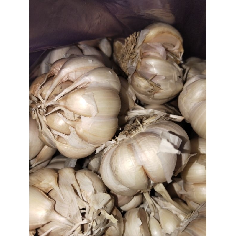 

BAWANG PUTIH BIASA/ HONAM/ SINCO 250gr 500gr 1kg