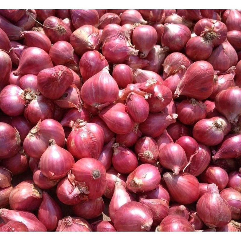 

Bawang Merah Sedang Kecil 1kg Bawang Merah
