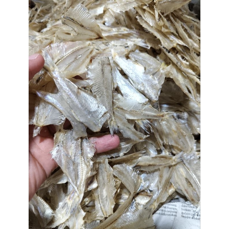 

Pakkang Tawar @500gr fresh