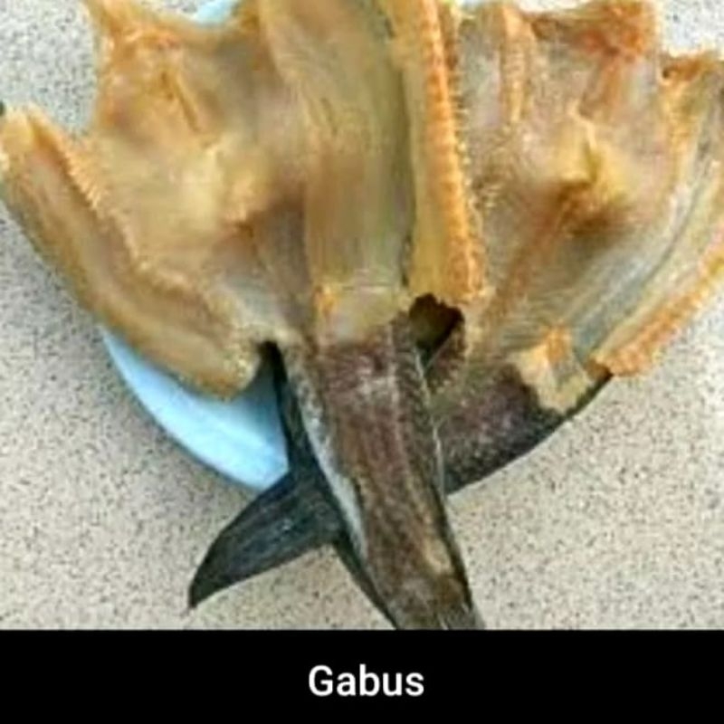 

Ikan Asin Gabus