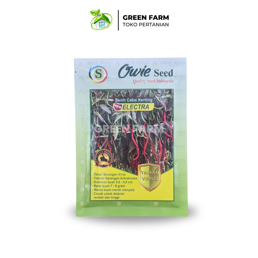 New Cabe Electra Benih Cabe Tahan Virus Original Pabrik Cabe Elektra Tahan Bule kuning