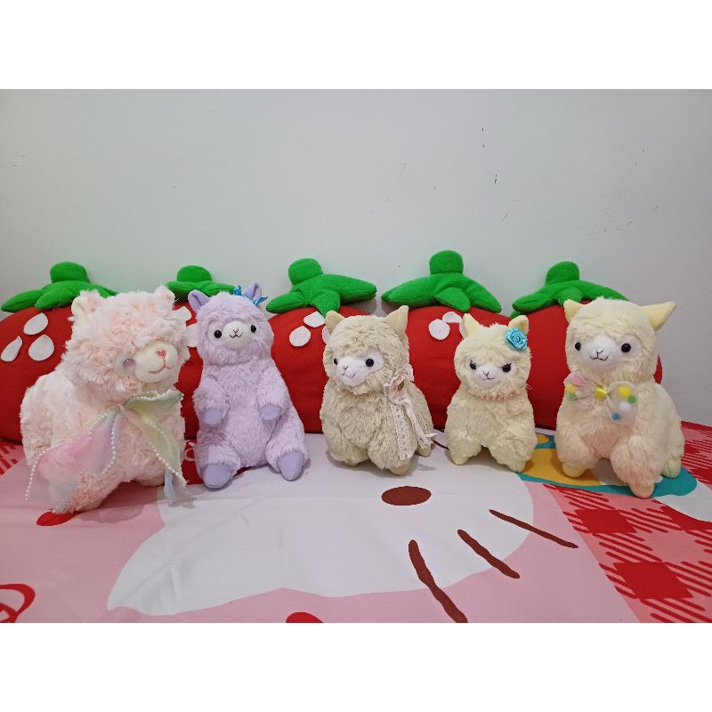alpacaso amuse boneka alpaca lucu imut