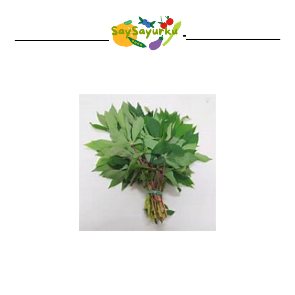 

DAUN SINGKONG 1 IKAT