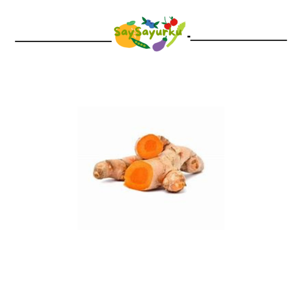 

KUNYIT REMPAH RESEP JSR 250 GR