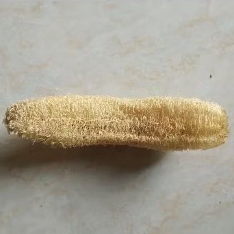 Sabut serabut oyong gambas / spon sponge cuci piring / mandi