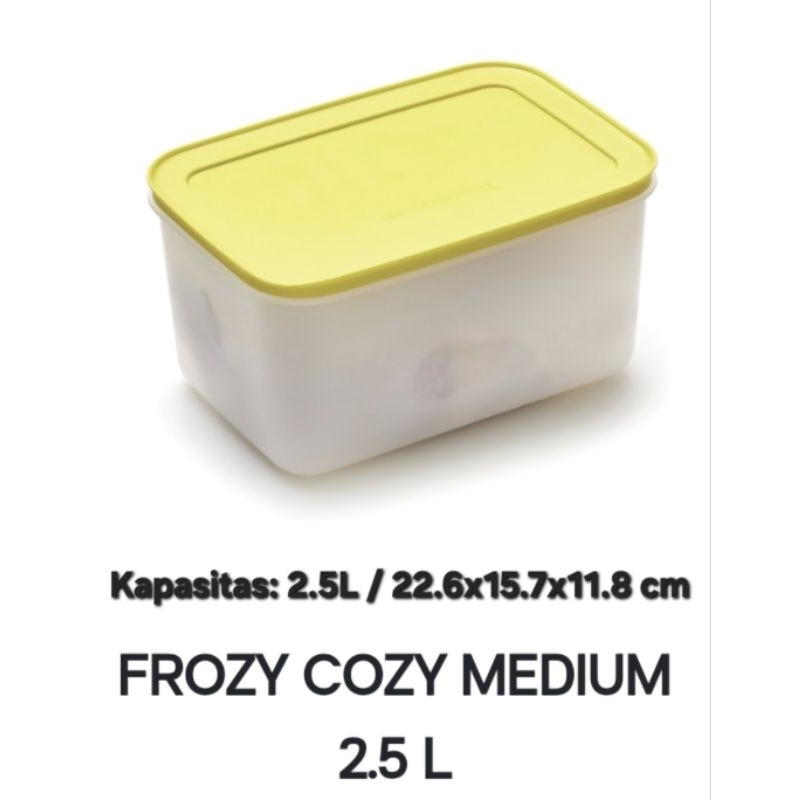 Tupperware medium Frozy Cozy 2.5L