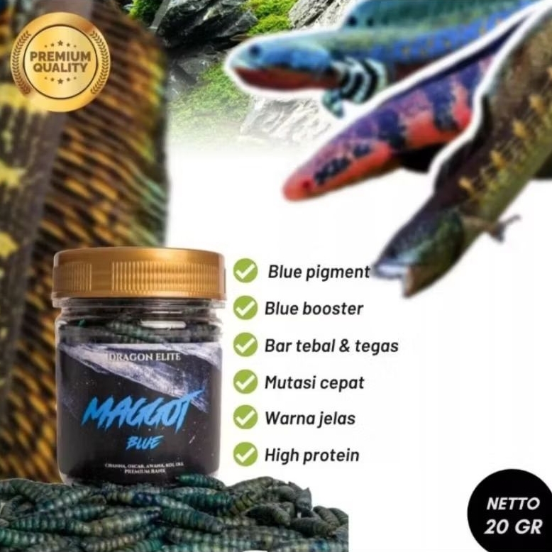 Maggot Kering Premium Blue Pakan Ikan Channa, Predator, Arwana