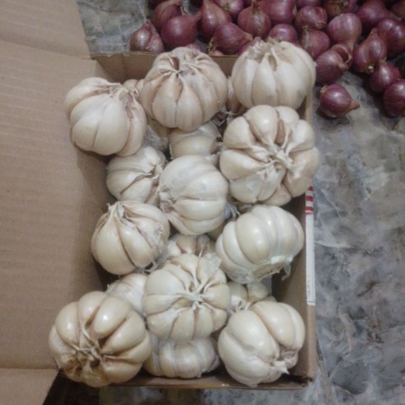

BAWANG PUTIH