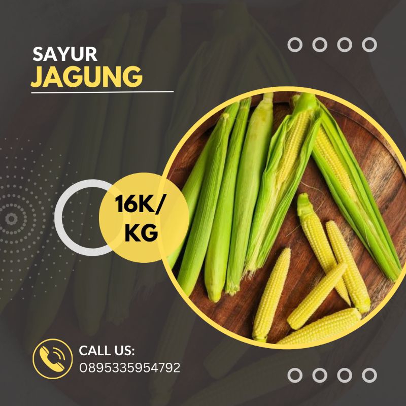 

Putren Jagung Muda Berbagai Varian dan Harga Termurah dengan Kualitas Premium per Kg
