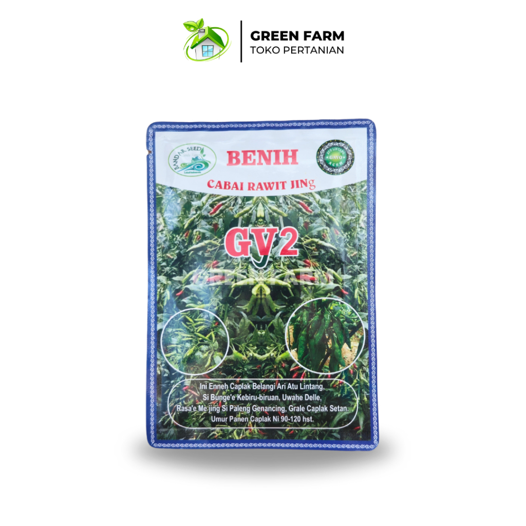 Cabe GY2 10gr Lokal Aceh Buah Lebat Original Cabe Rawit Hijau Gayo 2 Aceh