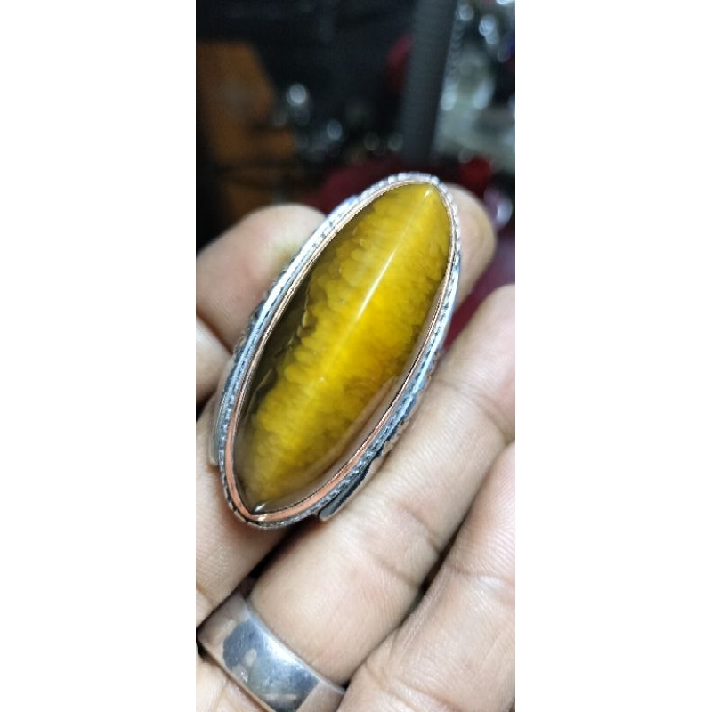 Pandan nanas semu lumut rudal