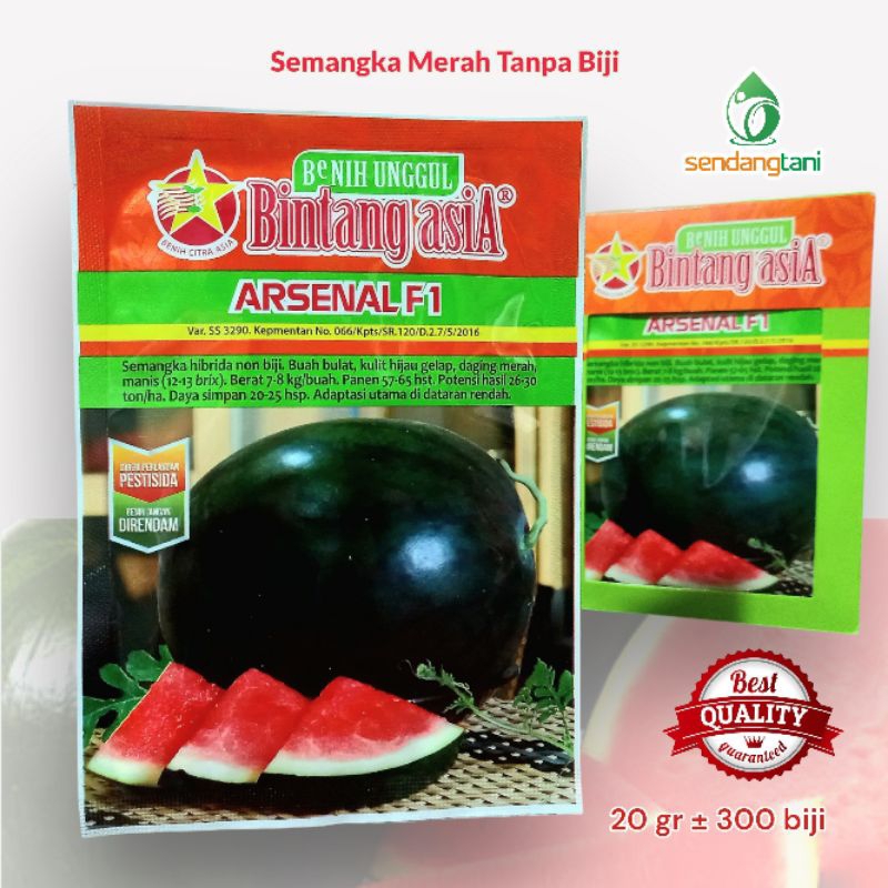 Benih Semangka Tanpa Biji ARSENAL F1 20 gr Bibit Seedless Cap Bintang Asia Tipe Amara