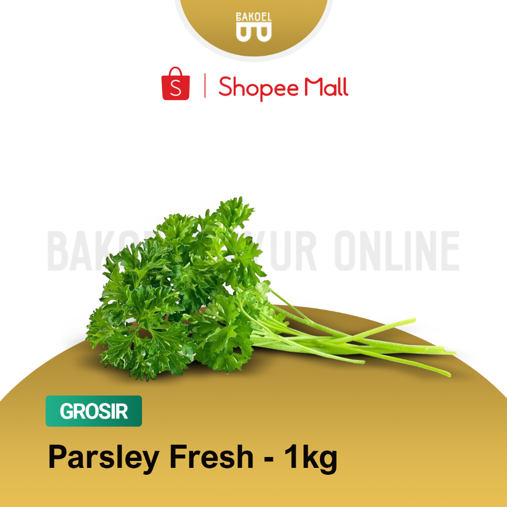 

Sayur Parsley Fresh- Grosir 1 Kg