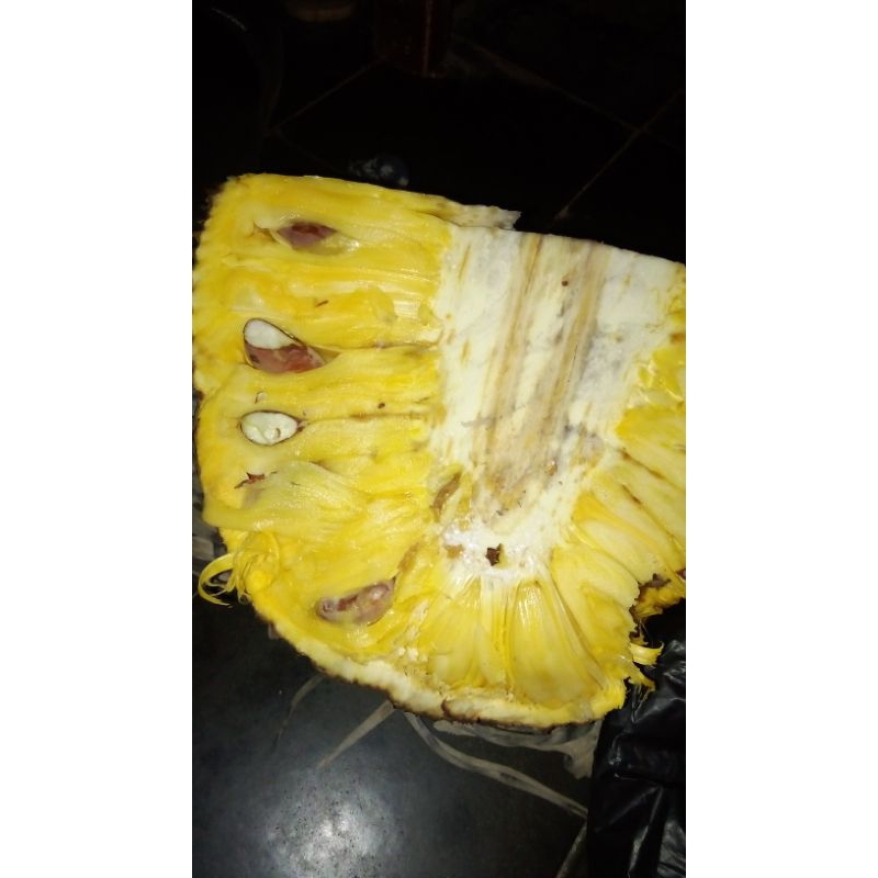 

NANGKA