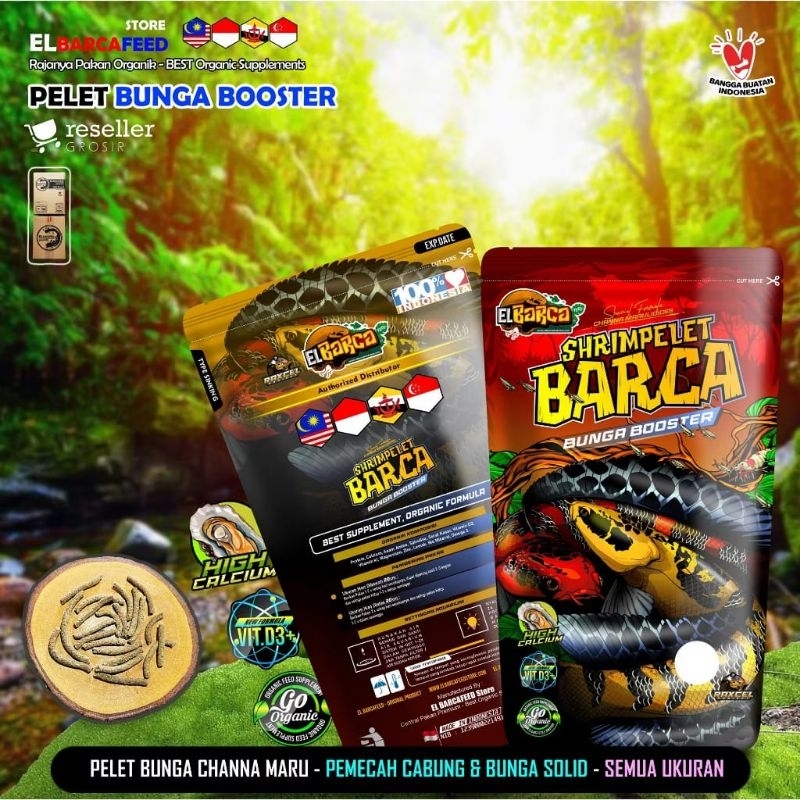 Shrimpelet El Barca 50g Pellet Udang Pelet Channa Premium Special Formula Progress Bunga Chana