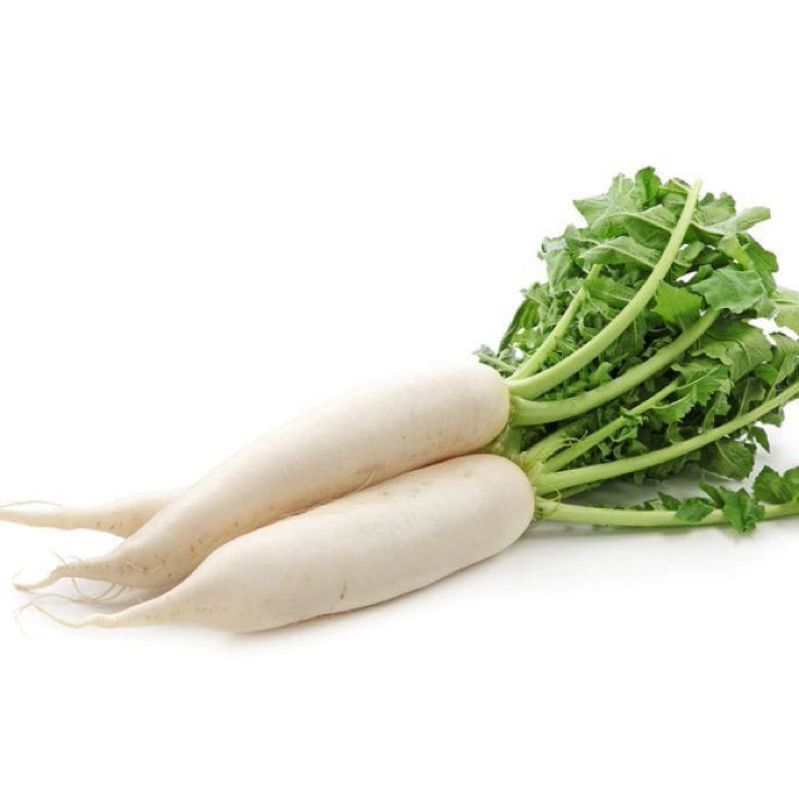 

SAYUR LOBAK PUTIH SEGAR 500 gram SAYUR SEGAR SIDOARJO