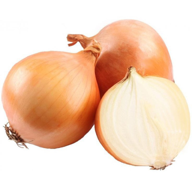 

BAWANG BOMBAY 500 gram SAYUR SEGAR SIDOARJO