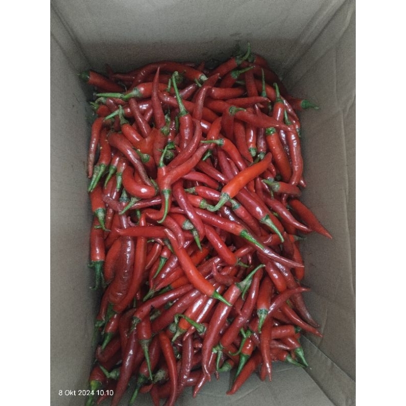 

Cabe merah murah 500gr