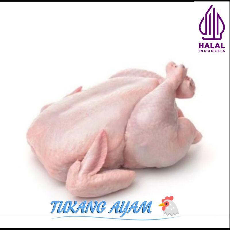 

AYAM KARKAS/UTUH