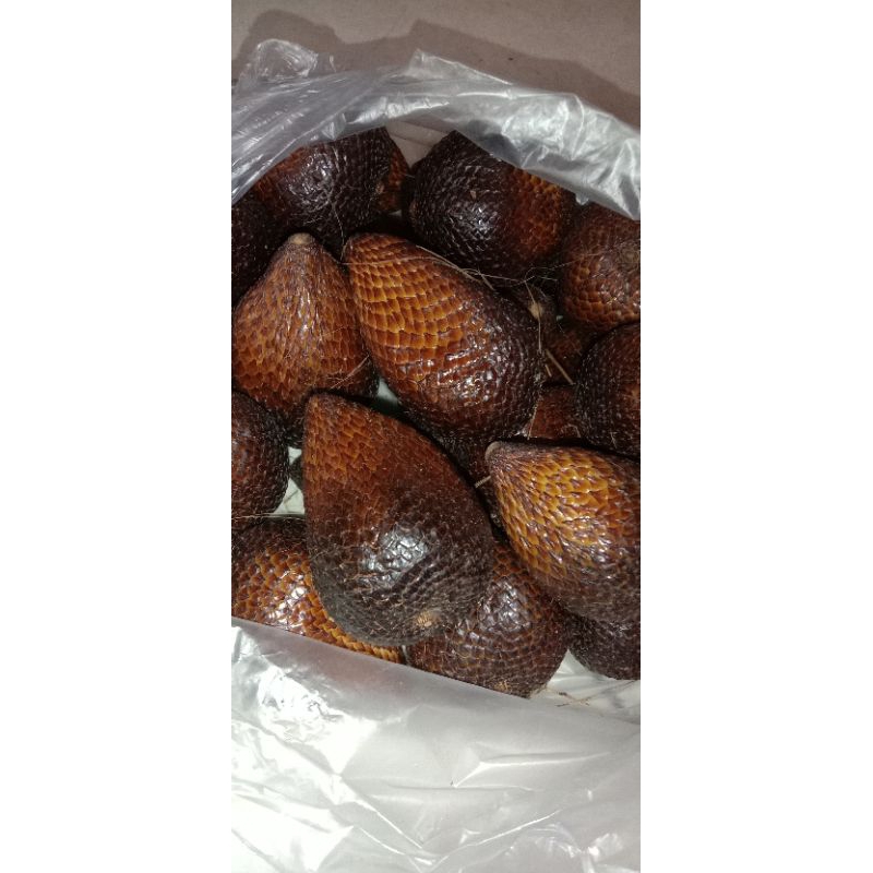 

Salah Pondoh Manis besar 1 kg