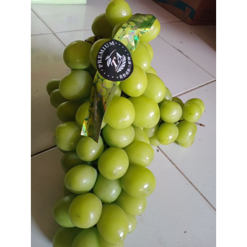 

anggur hijau Muscat 1kg.