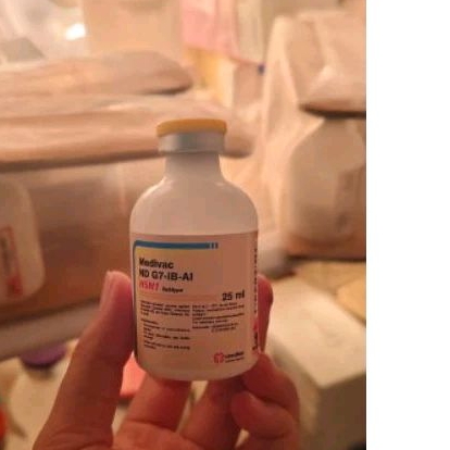 VAKSIN ND G7 IB AI 25ML PENCEGAHAN PENYAKIT DAN VIRUS PADA AYAM