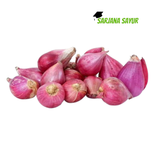 

Bawang Merah 100 gr Murah / Sarjana Sayur
