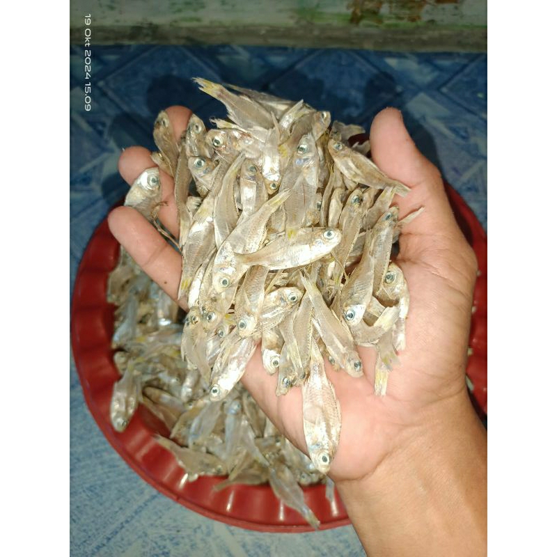 

ikan asin pengkah/ikan asin kelapan/ikan asin murah